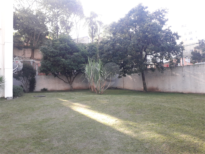 Foto REO252632