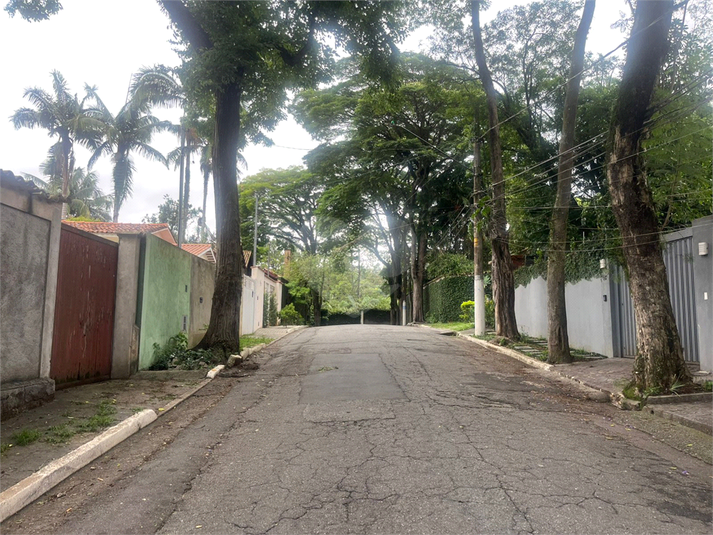 Venda Terreno São Paulo Vila Albertina REO25297 2