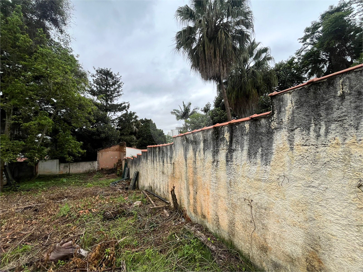 Venda Terreno São Paulo Vila Albertina REO25297 12