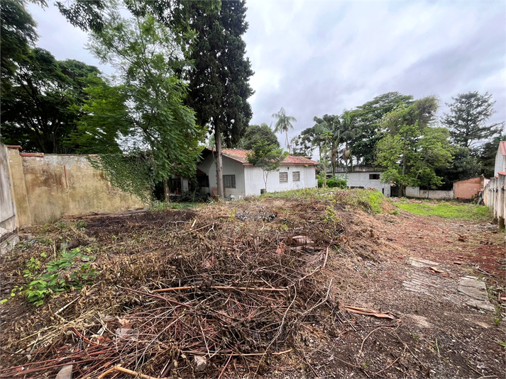 Venda Terreno São Paulo Vila Albertina REO25297 5