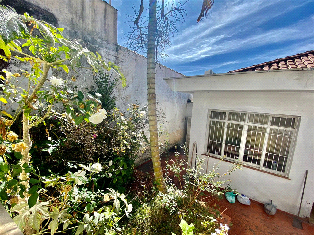 Venda Sobrado São Paulo Jardim Da Glória REO25323 22