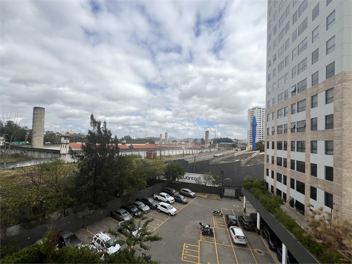 Foto REO253240