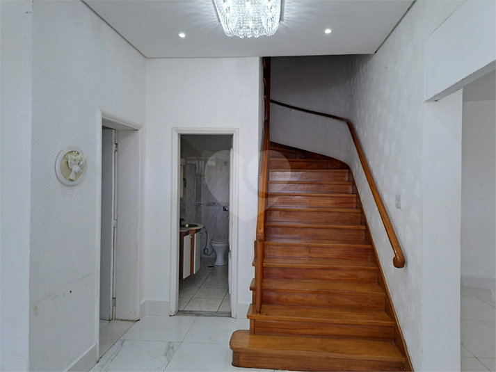 Foto REO253275