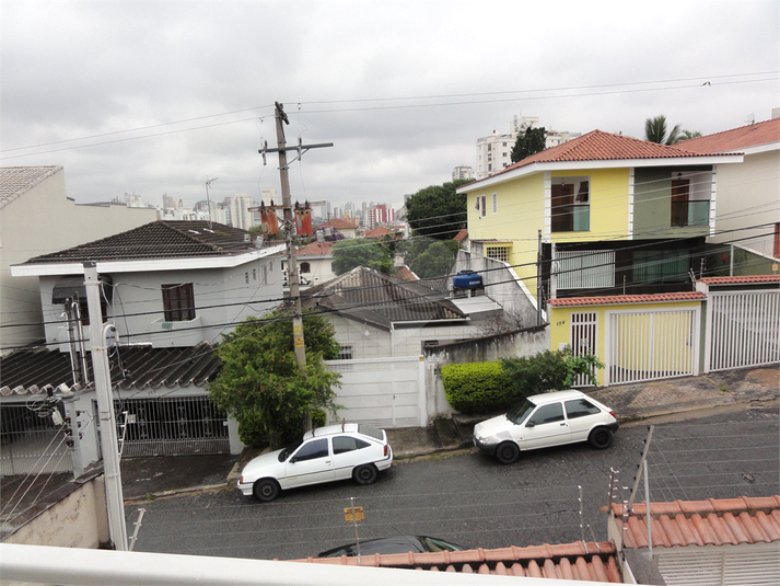 Foto REO253642