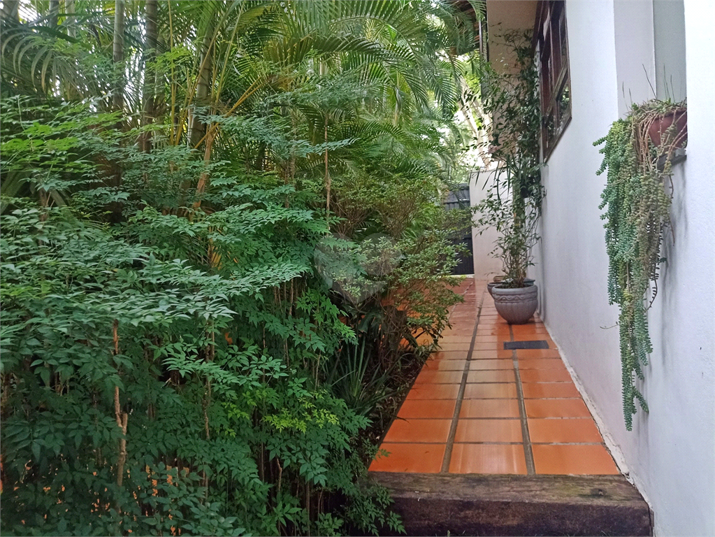 Venda Casa São Paulo Morumbi REO253678 9