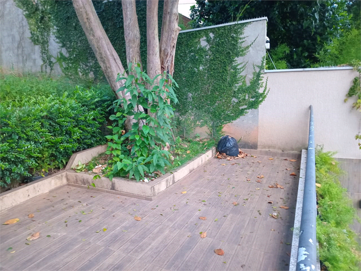 Foto REO253988
