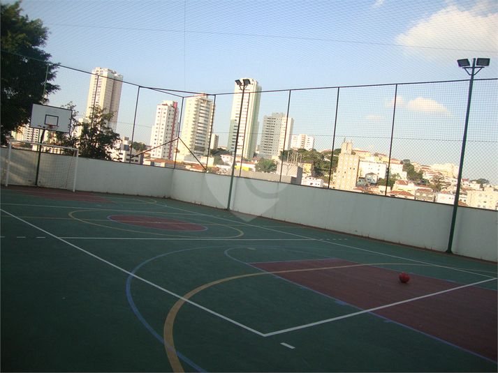 Foto REO254043