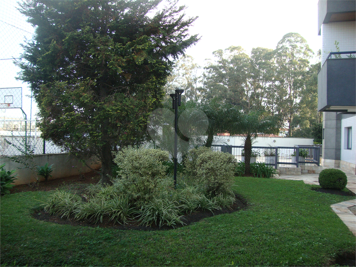 Foto REO254043