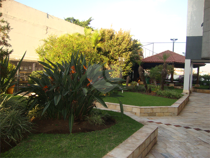 Foto REO254043