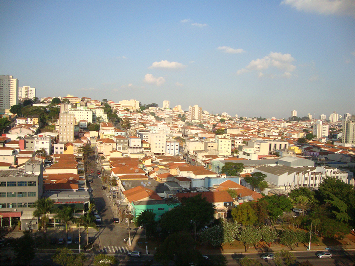 Foto REO254043
