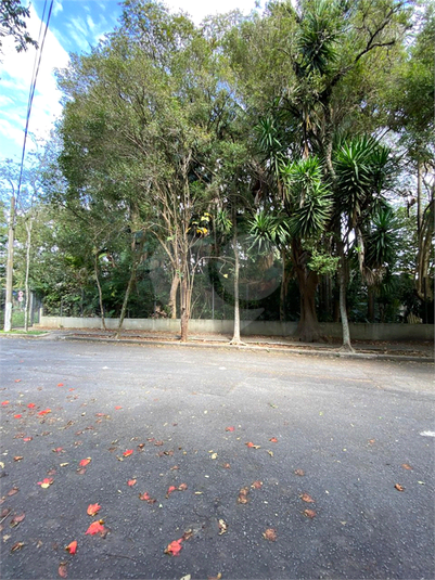 Foto REO25405