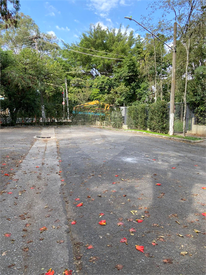 Foto REO25405