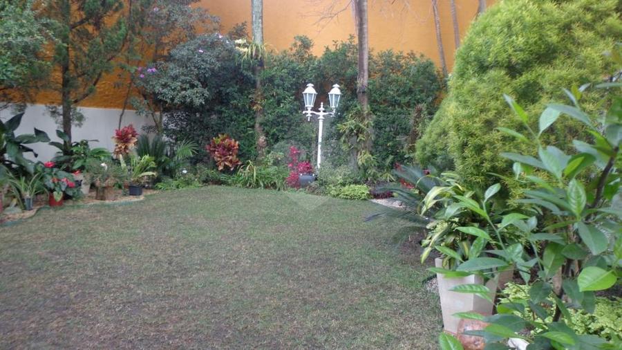 Foto REO254337