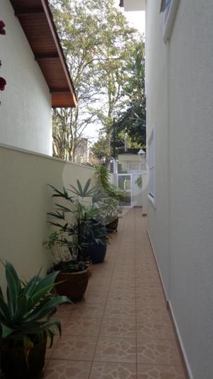 Foto REO254337