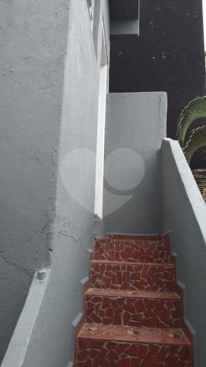 Foto REO255154