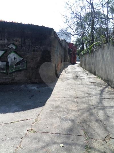 Foto REO255574