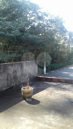 Foto REO256768