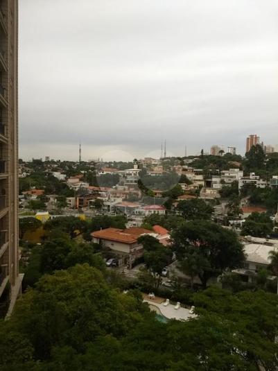 Foto REO256871