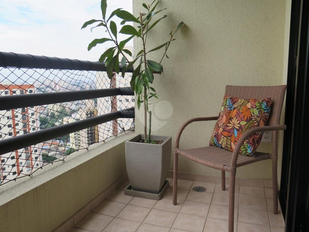 Venda Apartamento São Paulo Vila Mascote REO258554 1