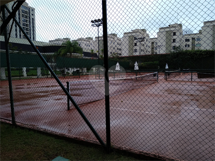 Foto REO259125