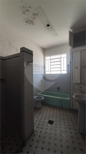 Foto REO259175
