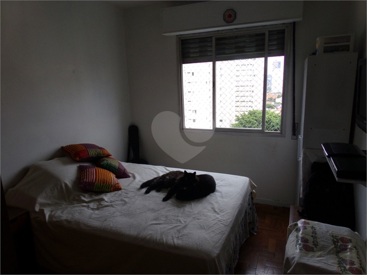 Foto REO259851