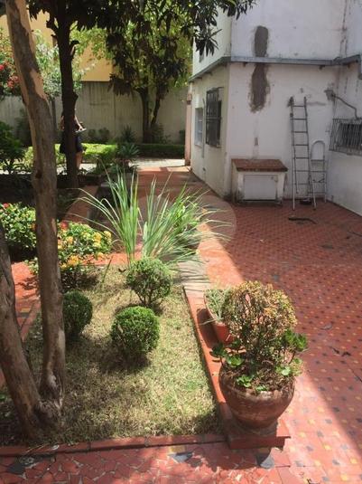 Foto REO260880