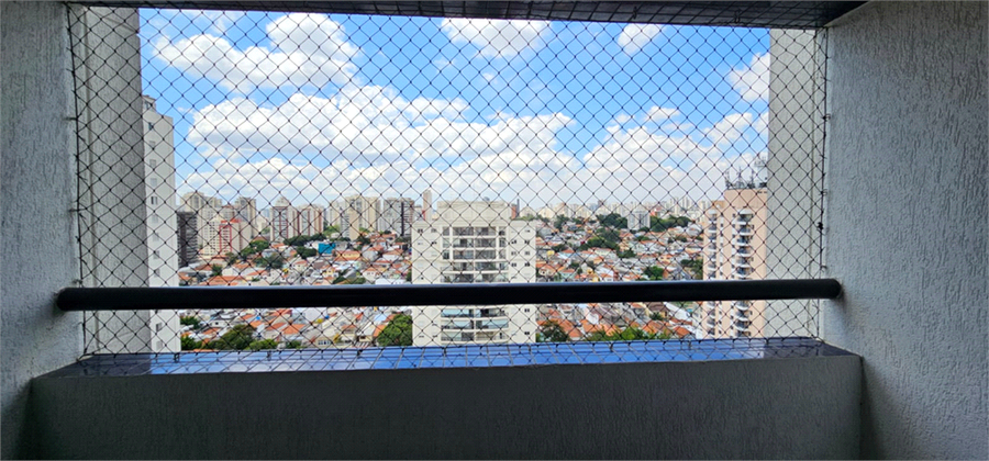 Foto REO261248