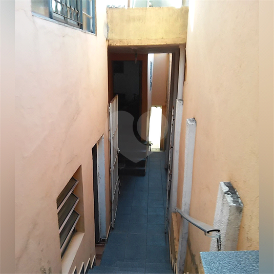 Foto REO261563