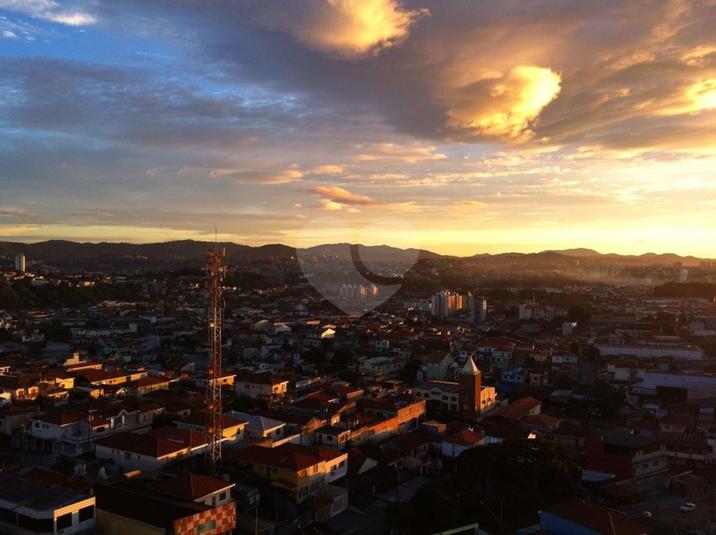 Foto REO262162