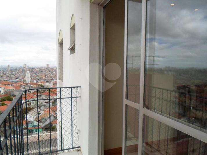 Foto REO262162