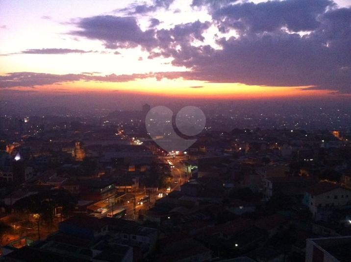 Foto REO262162