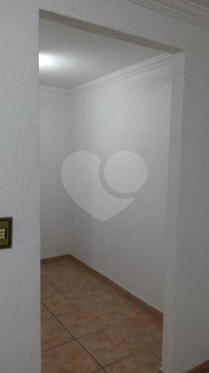 Foto REO262334