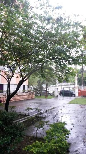 Foto REO262334