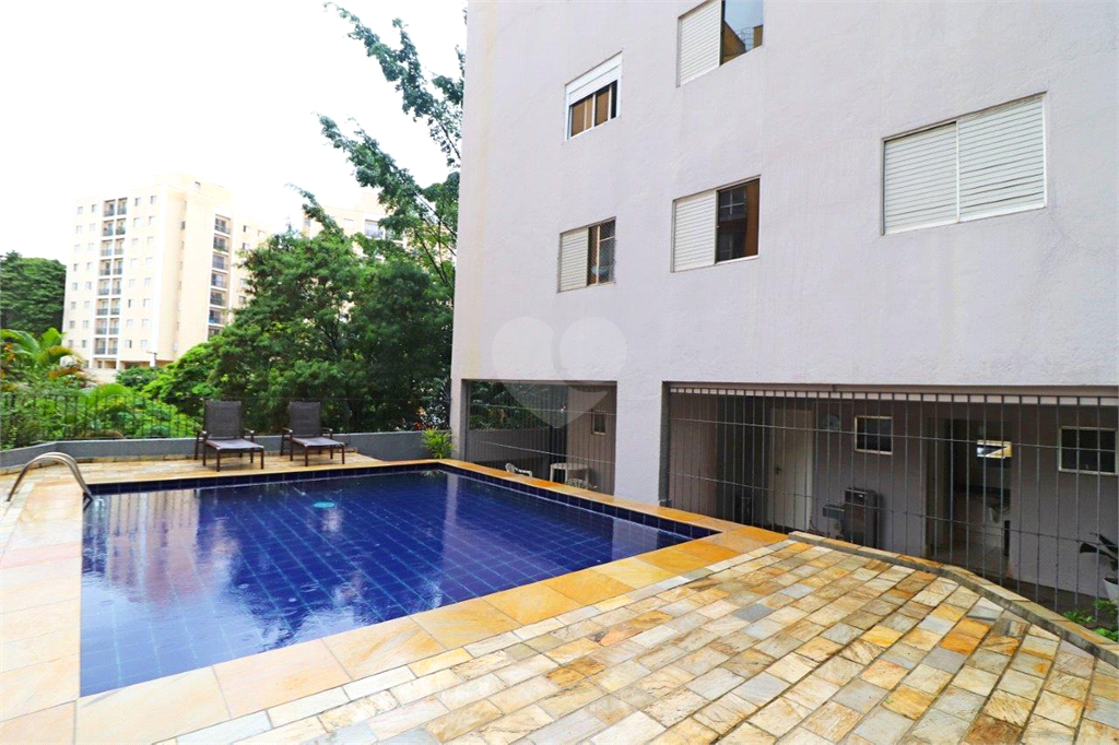 Venda Apartamento São Paulo Vila Ipojuca REO262613 2