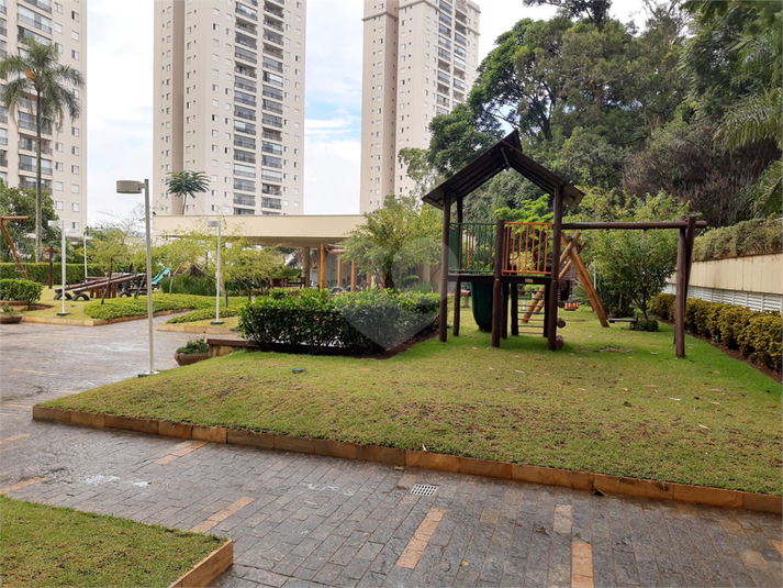 Foto REO262647