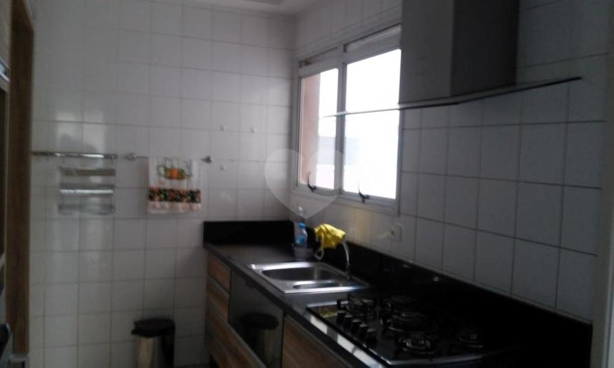 Foto REO262647