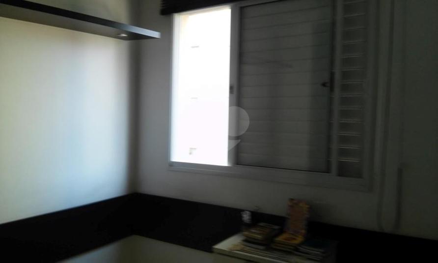 Foto REO262647