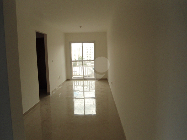 Foto REO262686