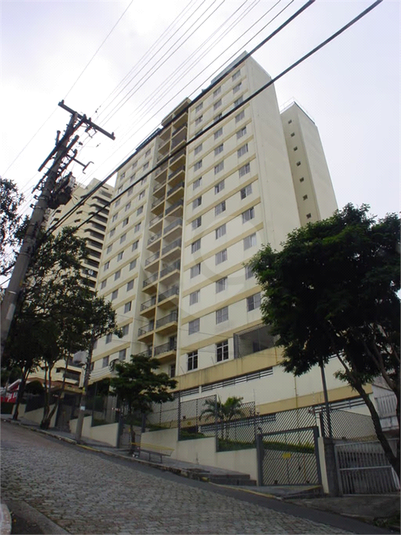 Foto REO262771