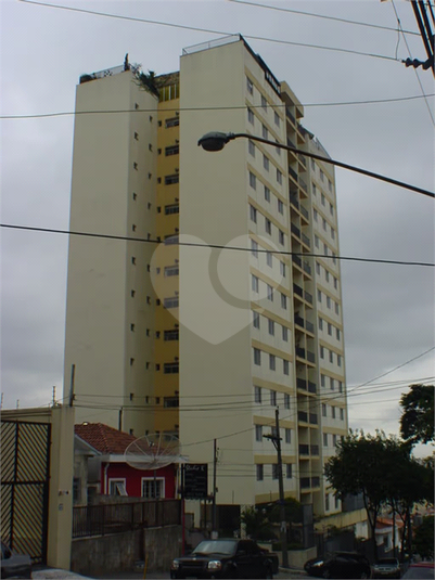 Foto REO262771