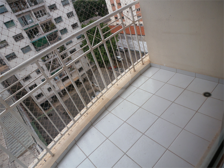 Foto REO262865