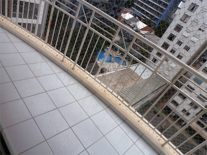 Foto REO262865