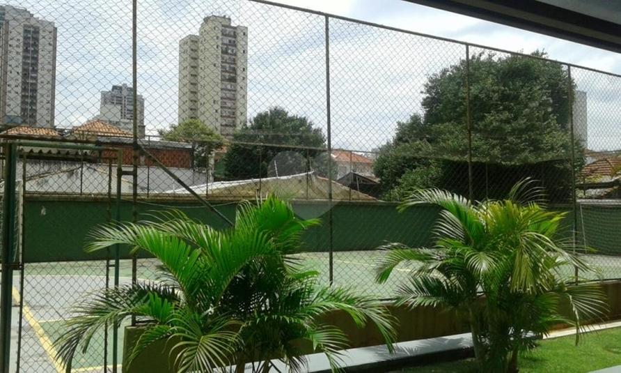Foto REO262880