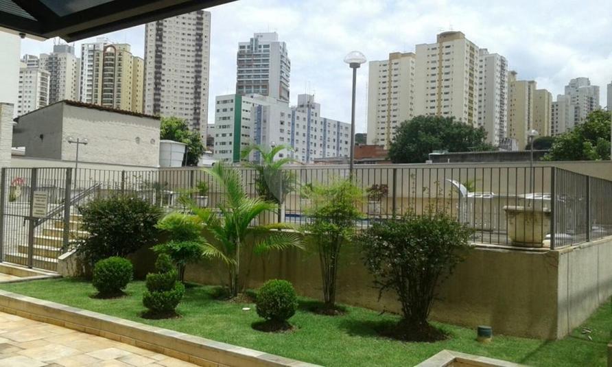 Foto REO262880