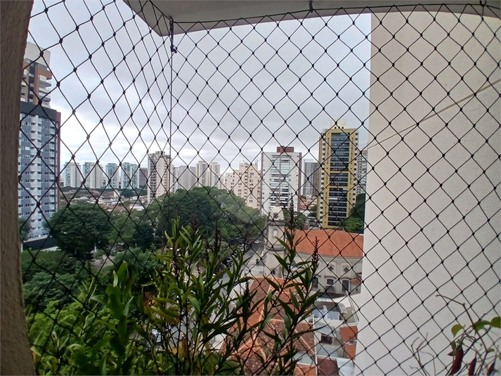 Foto REO263029