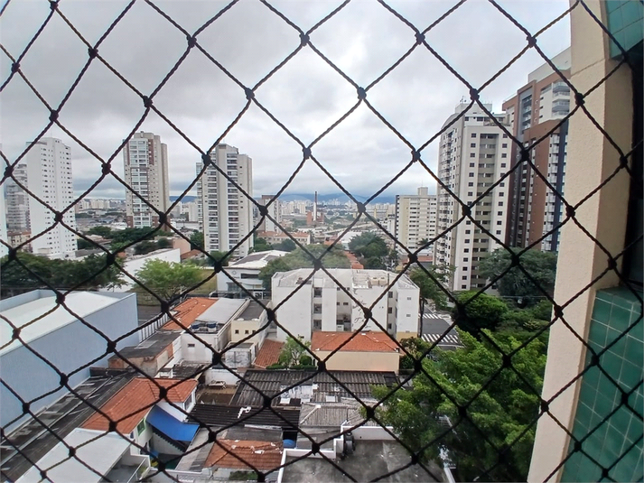 Foto REO263029