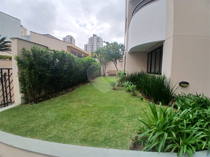 Foto REO263029