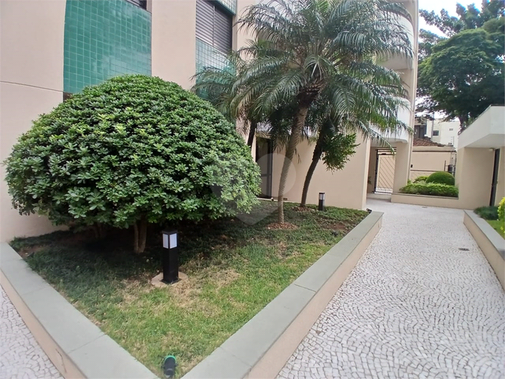 Foto REO263029