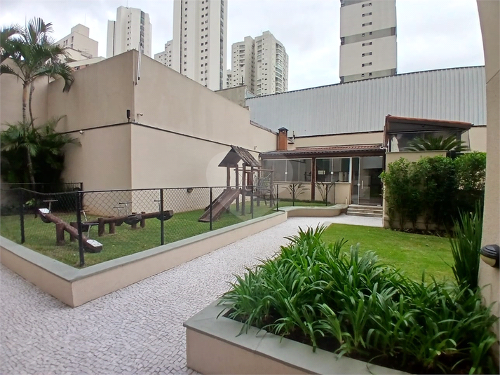 Foto REO263029